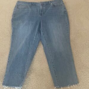 Talbots Light Blue Ankle Jeans